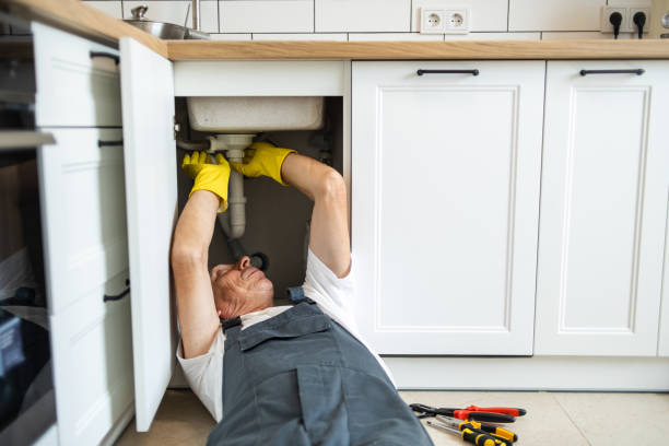 Best Garbage Disposal Repair and Installation  in Lake Wylie, SC